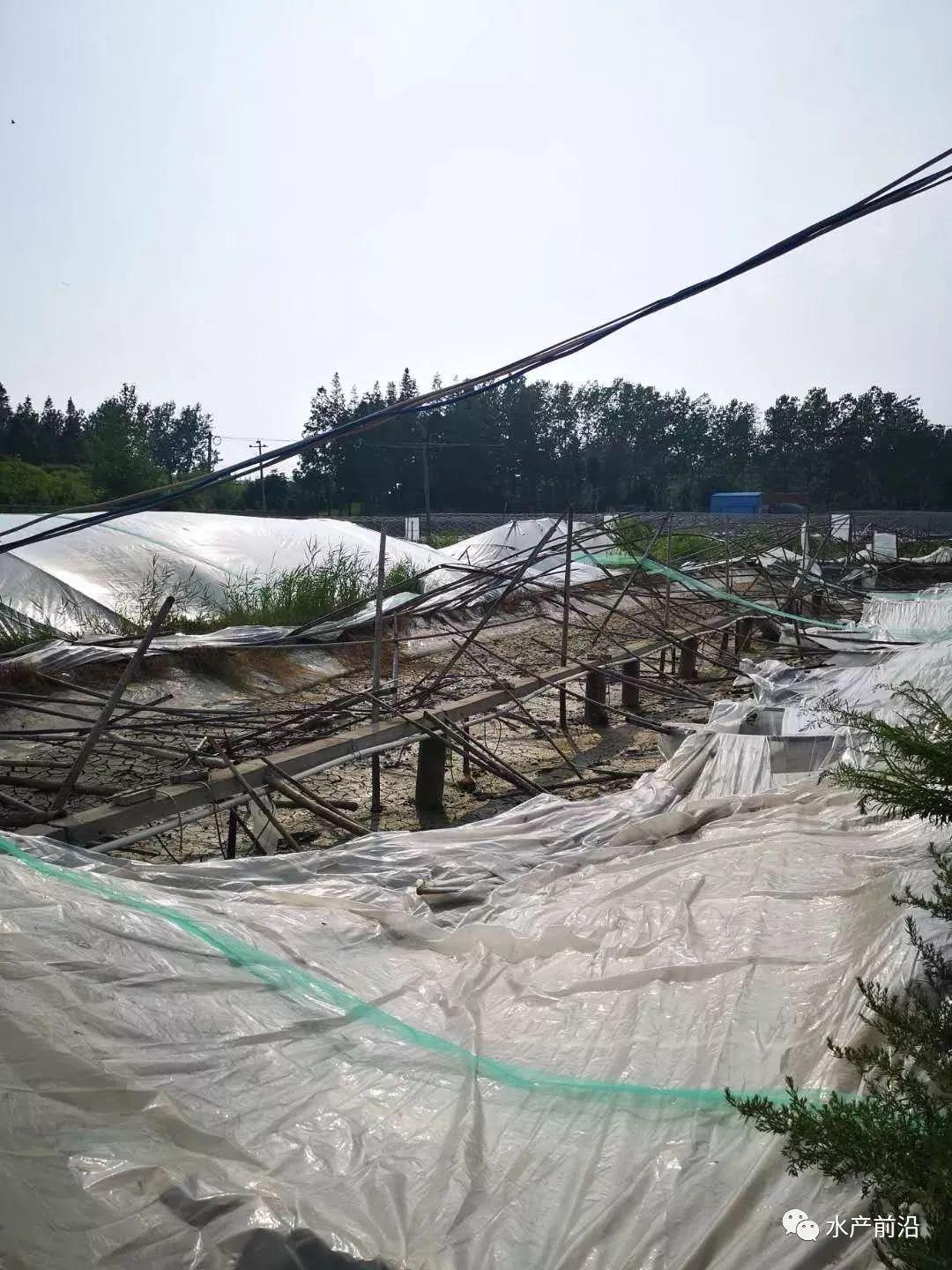 如东大棚养对虾秋季养法研究与实践
