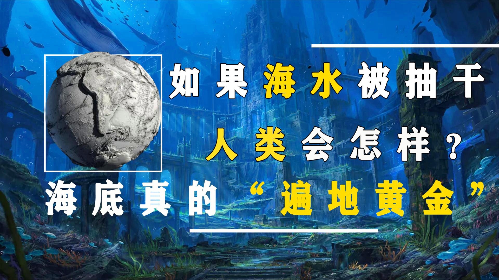 遍地黄金阅读，探索知识的海洋与财富的无限可能