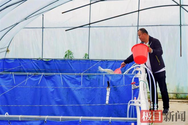 海阳南美白大棚养殖，探索现代养殖业的新模式