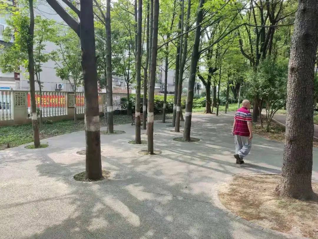 陆权儿科专家，守护儿童健康的坚定守护者