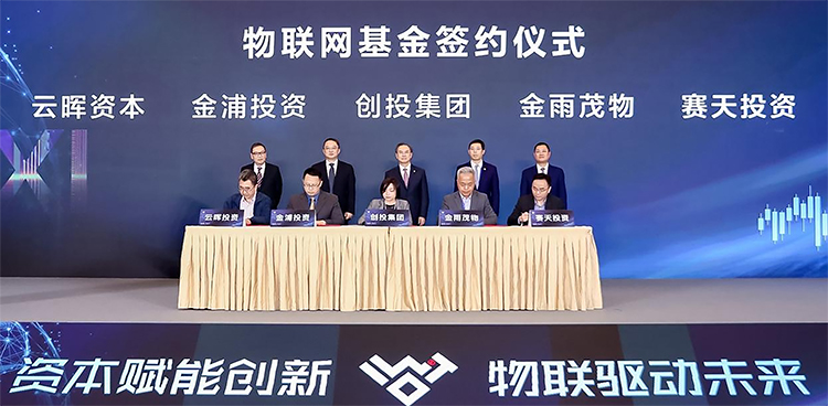 上海创投鹰资本，引领创新与发展的先锋力量