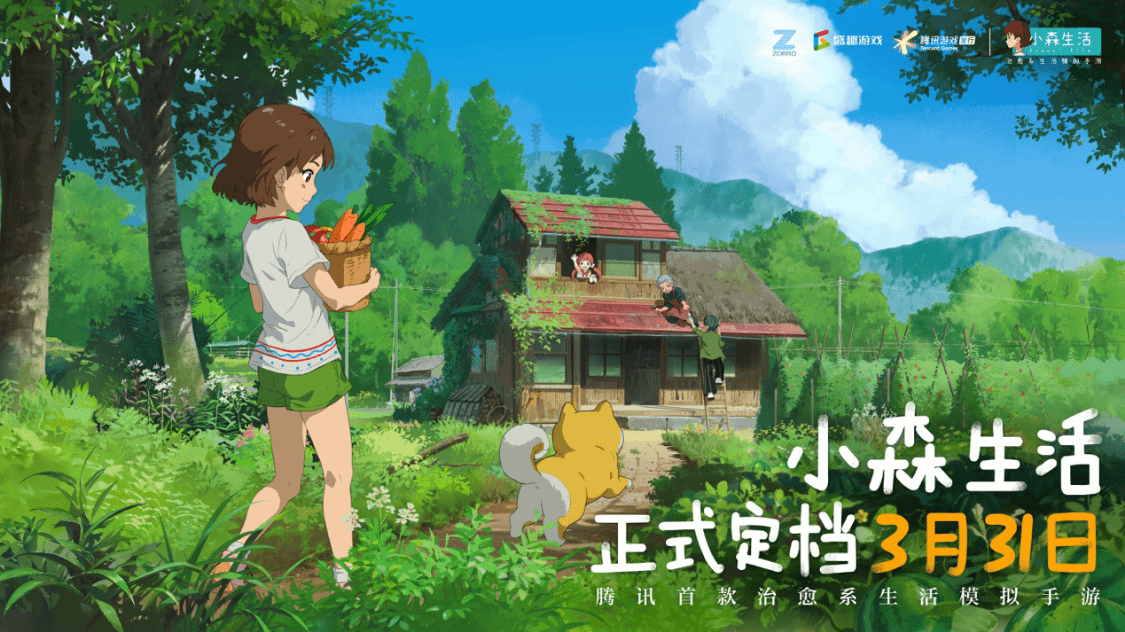 森林开局动画，自然之美的瞬间展现
