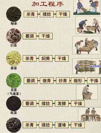 饮料茶的制作方法，从选材到工艺，一步步带你了解