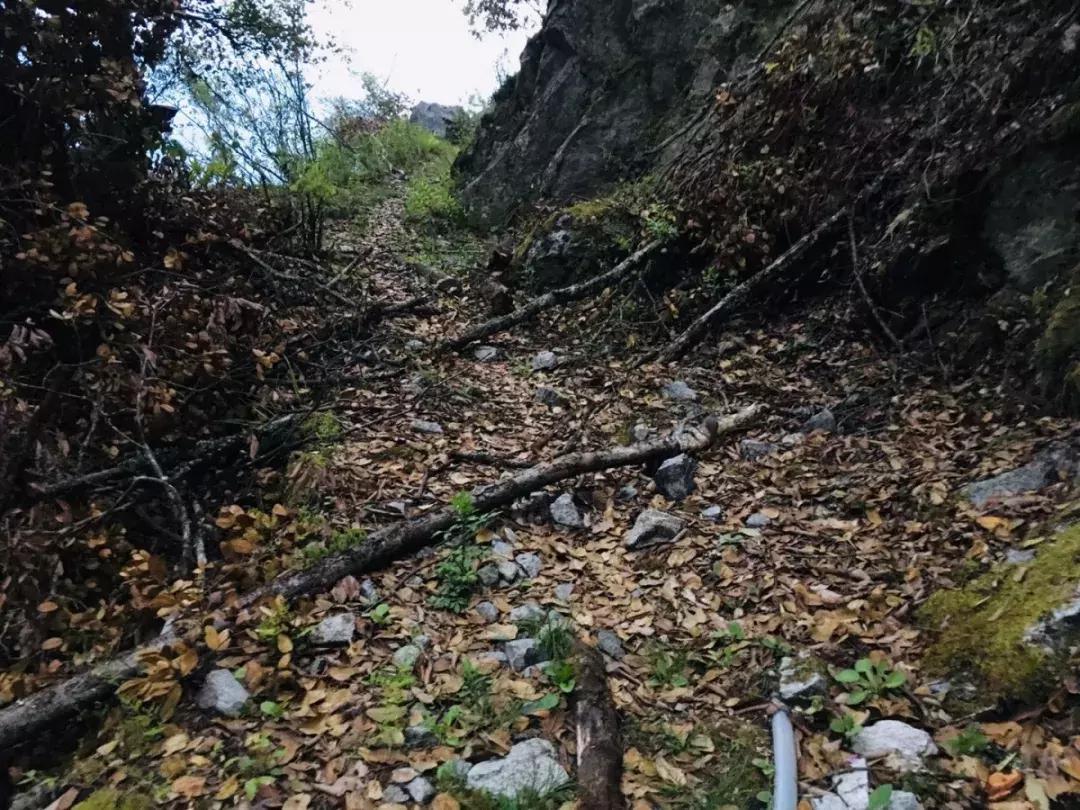 什么是越野跑