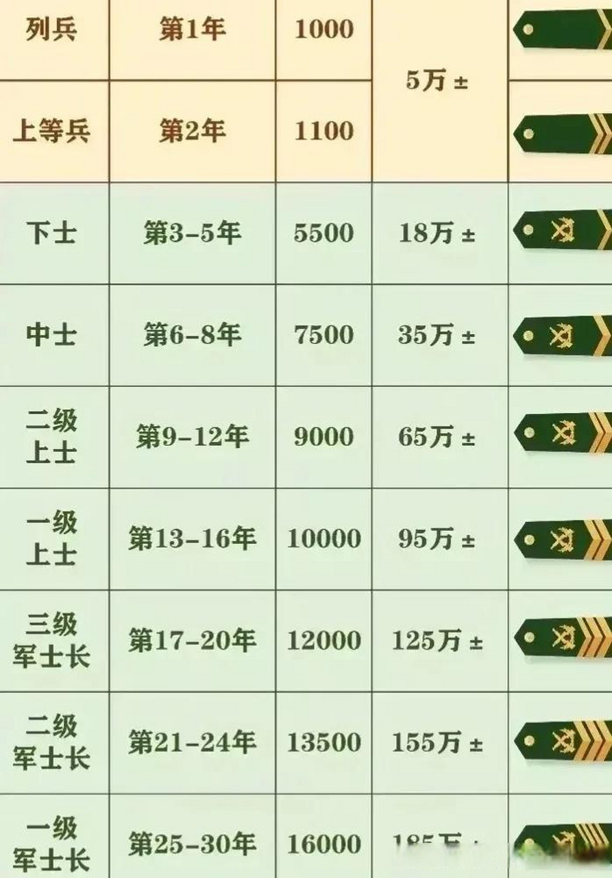 一级军士长退伍待遇，荣耀背后的保障与尊重