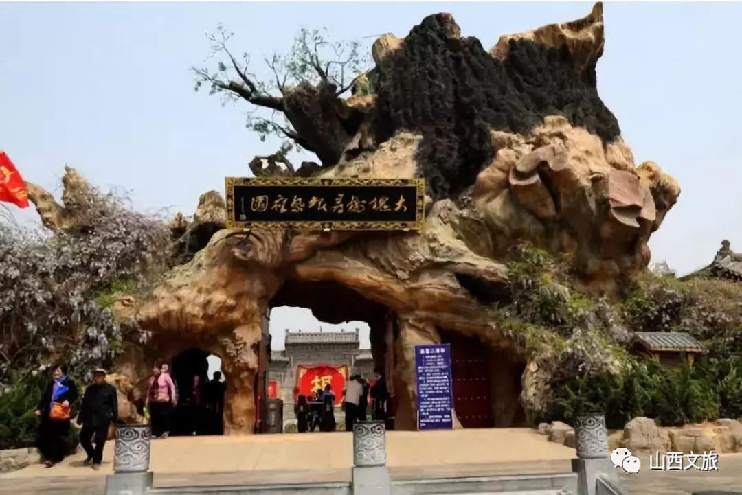 上海东旅移民，专业的移民服务引领未来