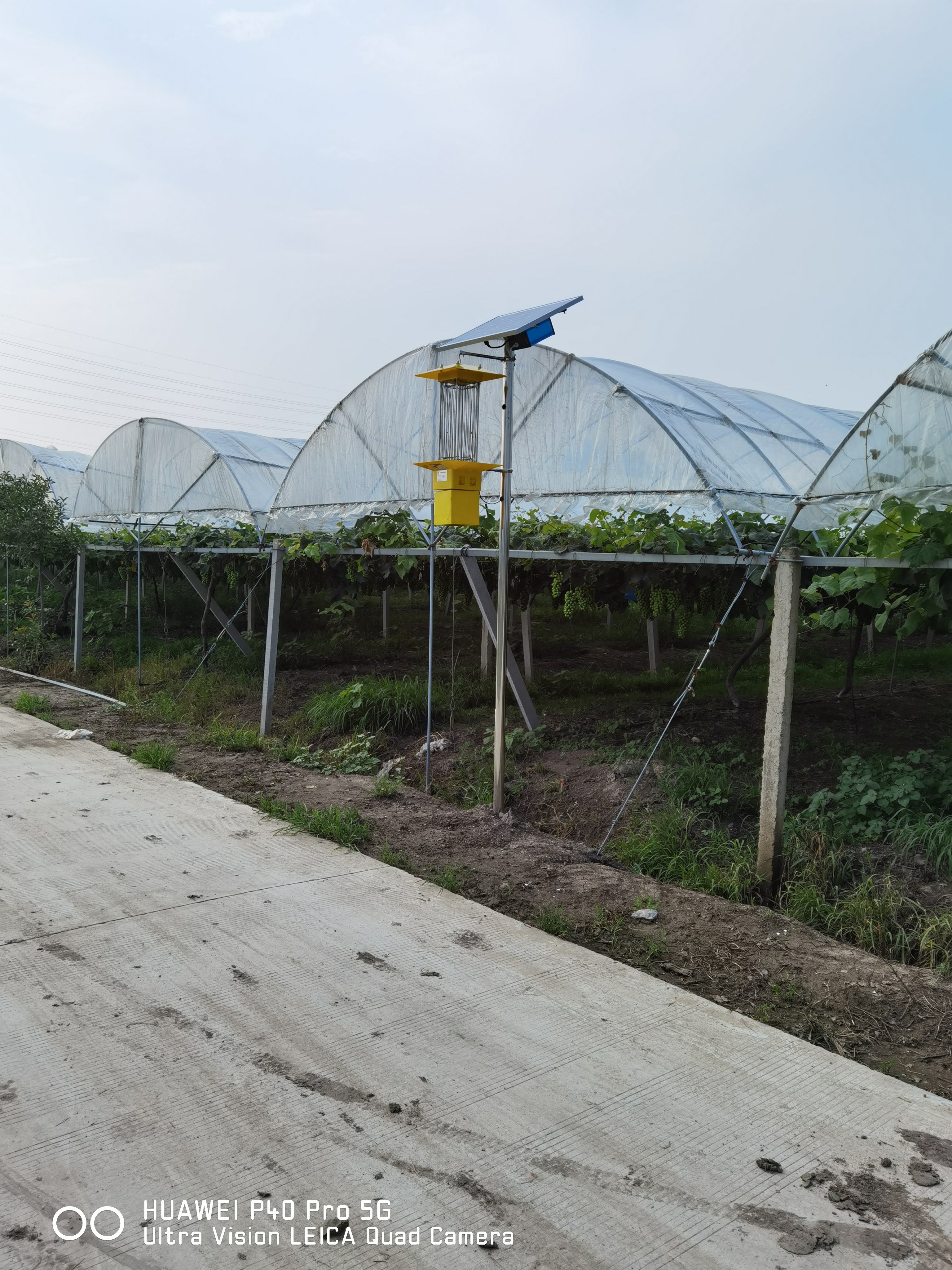 虾池建造大棚是否违规，解读与探讨