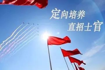 新疆士官待遇，多元保障与激励体系构建