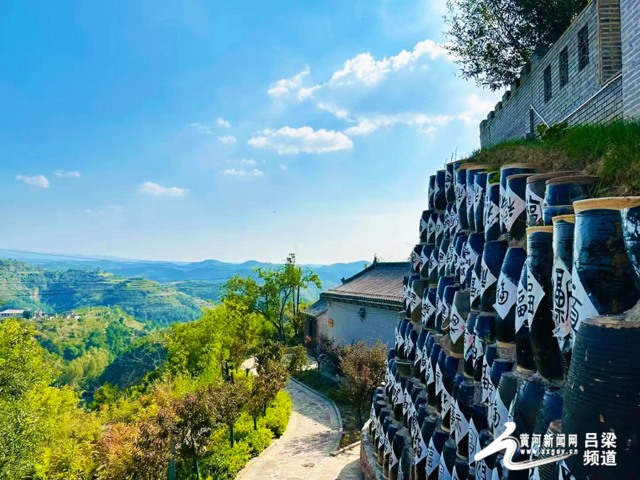 宁夏奥巴马木纹——探寻自然之美与艺术之韵