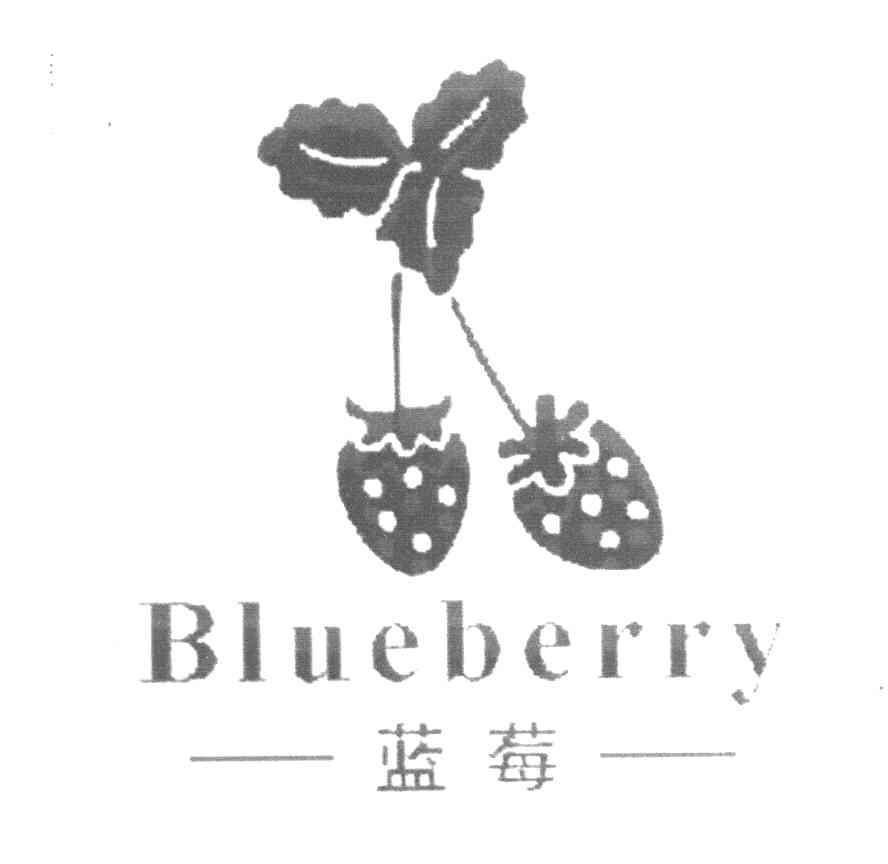 蓝莓商标图案，设计与品牌故事