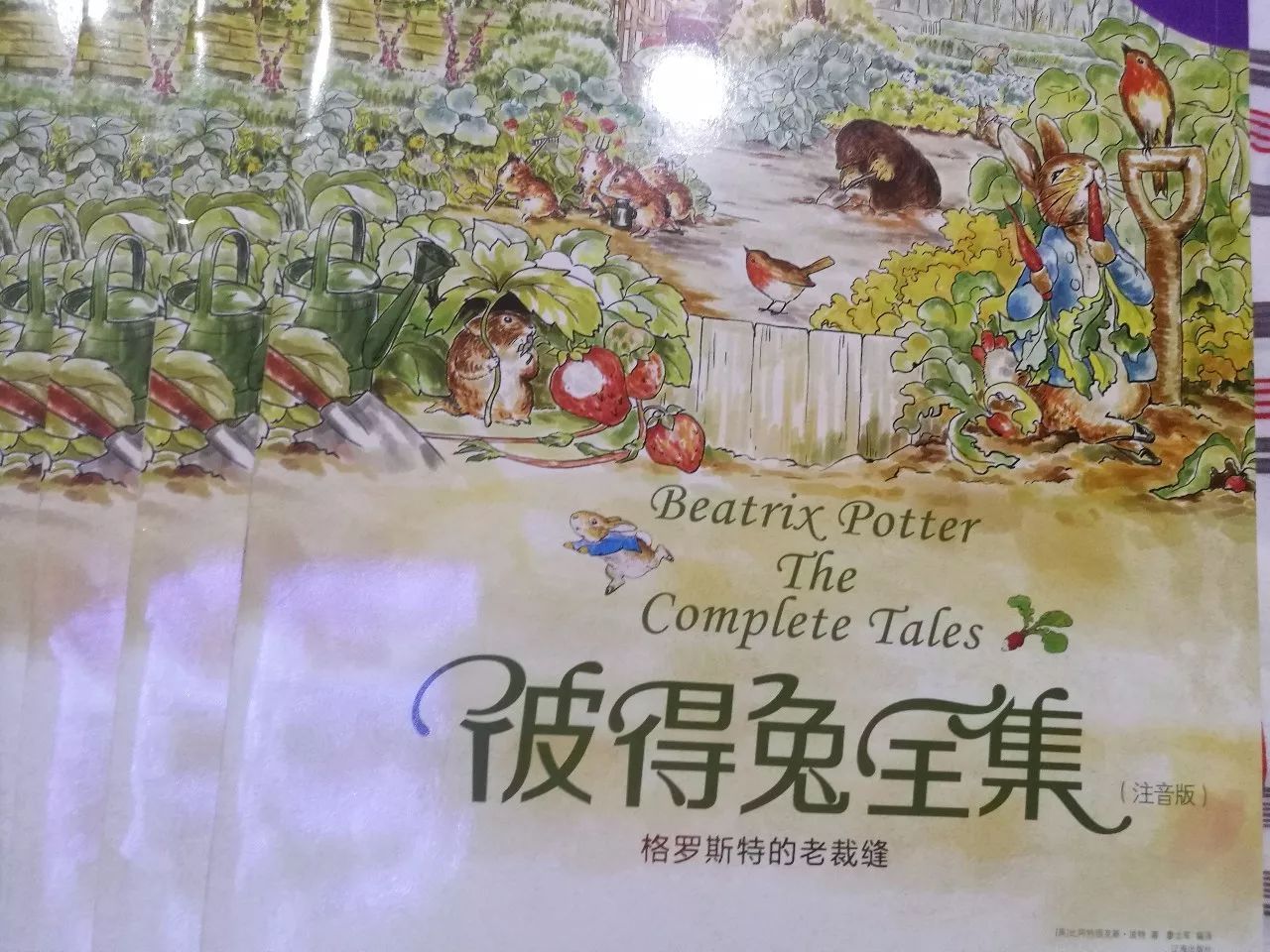小盒子梨园春与一本书的奇妙邂逅