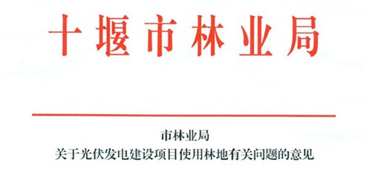 林业局支持光伏发展的文件及其意义