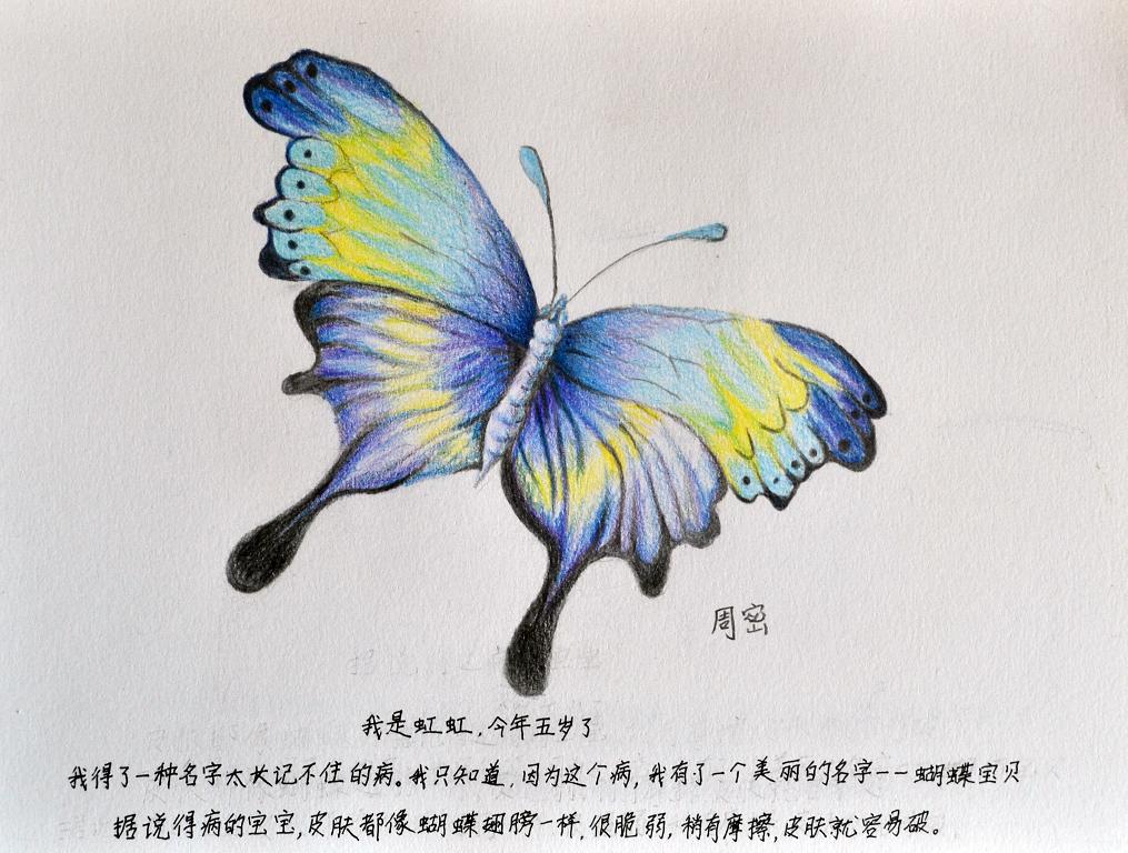 中班美术绘画，蝴蝶的魔法世界