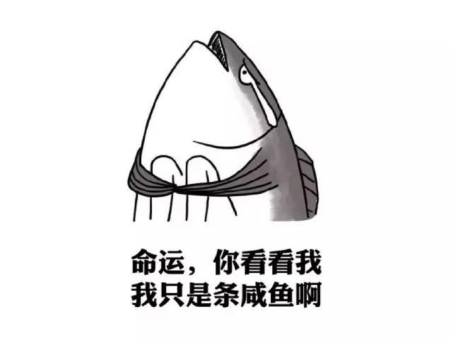 命运与搞笑，表情包的新篇章