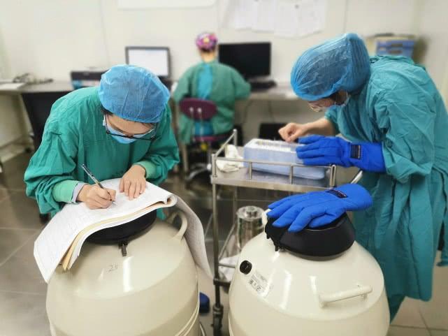 取卵后多久移冻胚，时间与过程解析