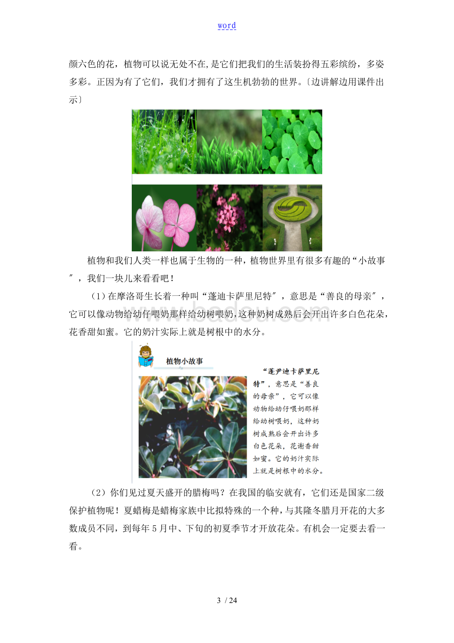 幼儿园美术教案——植物的奇妙之旅