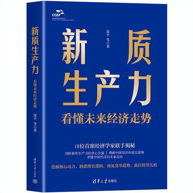看懂中国经济的第一本书，深度解析与洞察