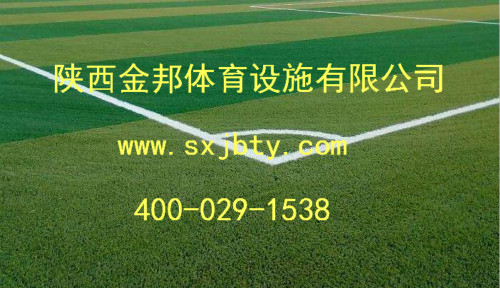比较好的草坪品种及其特点