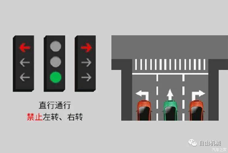 红灯直行图标，交通规则的重要提示与行车安全的关键