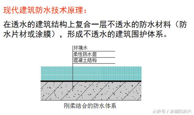 2025年6月11日 第14页