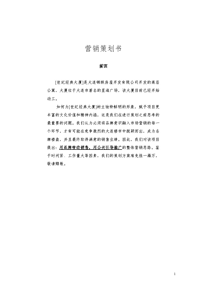 一本书的营销策划报告