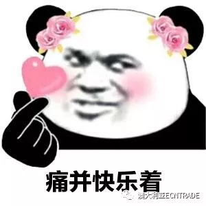 真白表情包的魅力与影响