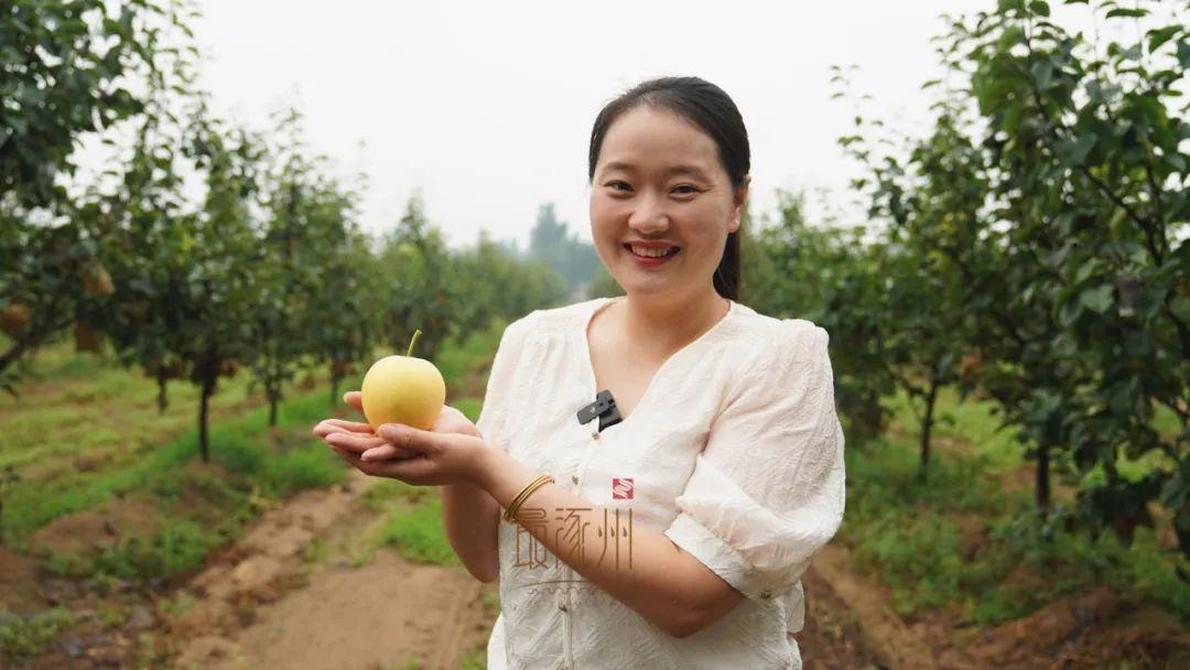 涿州自动门厂家，品质与创新并行的行业先锋