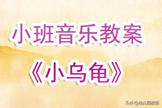 美术小乌龟教案
